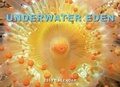 Cover: Underwater Eden 2009 Calendar - Harry N. Abrams, Inc.