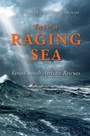 Cover: Into a Raging Sea - Jonathan Ball