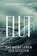 Cover: Flut - Hanser
