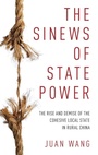 Cover: The Sinews of State Power - Oxford University Press Inc