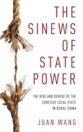 Cover: The Sinews of State Power - Oxford University Press Inc