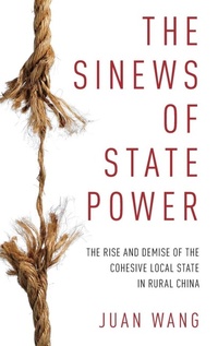 Enlarge image Cover: The Sinews of State Power - Oxford University Press Inc