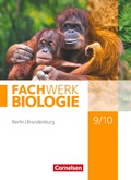 Cover: Fachwerk Biologie - Berlin/Brandenburg - 9./10. Schuljahr - Cornelsen Verlag