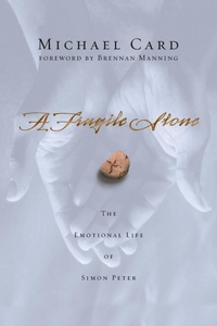 Enlarge image Cover: A Fragile Stone - INTERVARSITY PRESS
