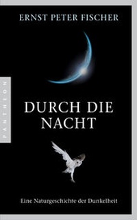 Abbildung von: Durch die Nacht - Pantheon
