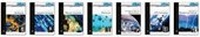 Enlarge image Cover: Notable Scientists - Facts On File Inc