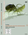 Cover: Faszination Insekten-Mikrokosmos 1 R&auml;uber und Parasitoide - Verlag Ludwig