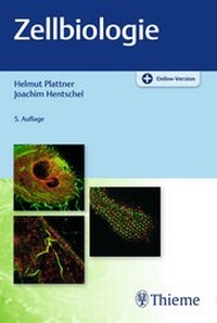 Abbildung von: Zellbiologie - Thieme