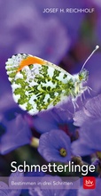 Cover: Schmetterlinge - BLV