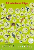 Cover: Mein Lernposter: 50 Heimische V&ouml;gel - Nelson