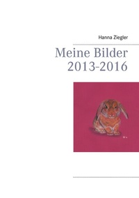 Abbildung von: Meine Bilder 2013-2016 - BoD - Books on Demand