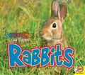 Cover: Rabbits - Av2