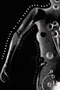 Cover: Technologies of the Gendered Body - Duke University Press