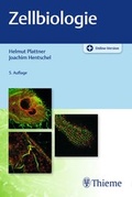 Cover: Zellbiologie - Thieme
