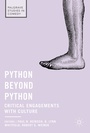 Cover: Python beyond Python - Palgrave Macmillan
