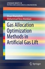 Cover: Gas Allocation Optimization Methods in Artificial Gas Lift - Springer