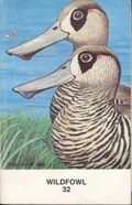 Cover: Wildfowl: v. 32 - Wildfowl Trust