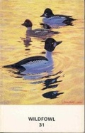 Cover: Wildfowl: v. 31 - Wildfowl Trust