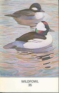 Cover: Wildfowl: v. 35 - Wildfowl Trust