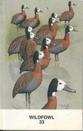 Cover: Wildfowl: v. 33 - Wildfowl Trust