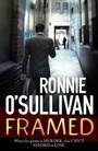 Cover: Framed - Orion (an Imprint of The Orion Publishing Group Ltd )