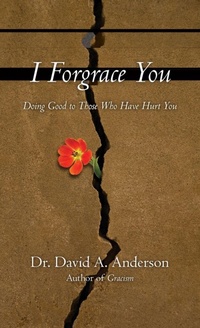 Enlarge image Cover: I Forgrace You - Inter-Varsity Press,US