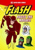 Cover: DC Super Hero Stories Pack A of 4 - Raintree