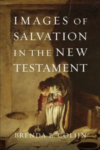 Enlarge image Cover: Images of Salvation in the New Testament - Inter-Varsity Press,US