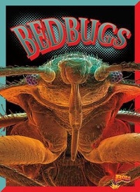 Enlarge image Cover: Bedbugs - Bolt!