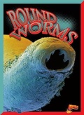 Cover: Round-Worms - Bolt!