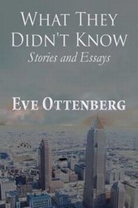 Enlarge image Cover: What They Didn't Know - AMERICA STAR BOOKS