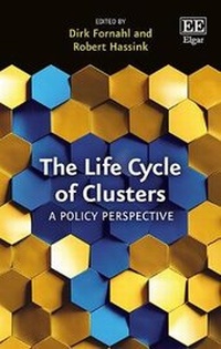 Abbildung von: The Life Cycle of Clusters - Edward Elgar Publishing