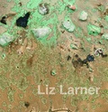 Cover: Liz Larner - Holzwarth Publications