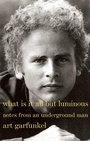 Bild: What Is It All but Luminous - Random House Books for Young Readers