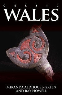 Abbildung von: Celtic Wales - University of Wales Press