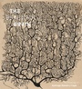Cover: Beautiful Brain - Abrams