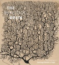 Cover: Beautiful Brain - Abrams