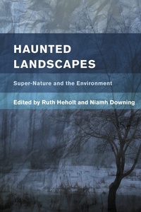 Enlarge image Cover: Haunted Landscapes - Rowman & Littlefield Publishers