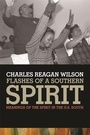 Cover: Flashes of a Southern Spirit - University of Georgia Press
