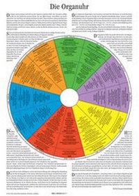 Abbildung von: Die Organuhr - Neue Erde