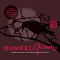 Cover: Dunkelgrimm - BUCHFUNK Verlag
