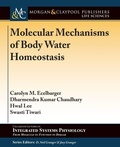 Cover: Molecular Mechanisms of Body Water Homeostasis - Morgan and Claypool Life Sciences
