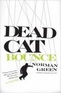 Enlarge image Cover: Dead Cat Bounce - HarperCollins