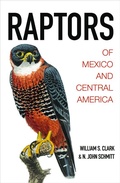 Cover: Raptors of Mexico and Central America - Princeton University Press