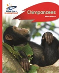 Cover: Reading Planet - Chimpanzees - Red B: Rocket Phonics - Rising Stars