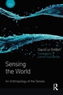 Cover: Sensing the World - Bloomsbury Academic