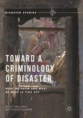 Cover: Toward a Criminology of Disaster - Palgrave MacMillan