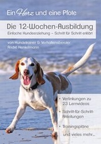 Enlarge image Cover: Die 12 Wochen Ausbildung - epubli