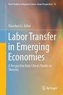 Cover: Labor Transfer in Emerging Economies - Springer