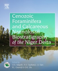 Bild vergrößern Bild: Cenozoic Foraminifera and Calcareous Nannofossil Biostratigraphy of the Niger Delta - Elsevier